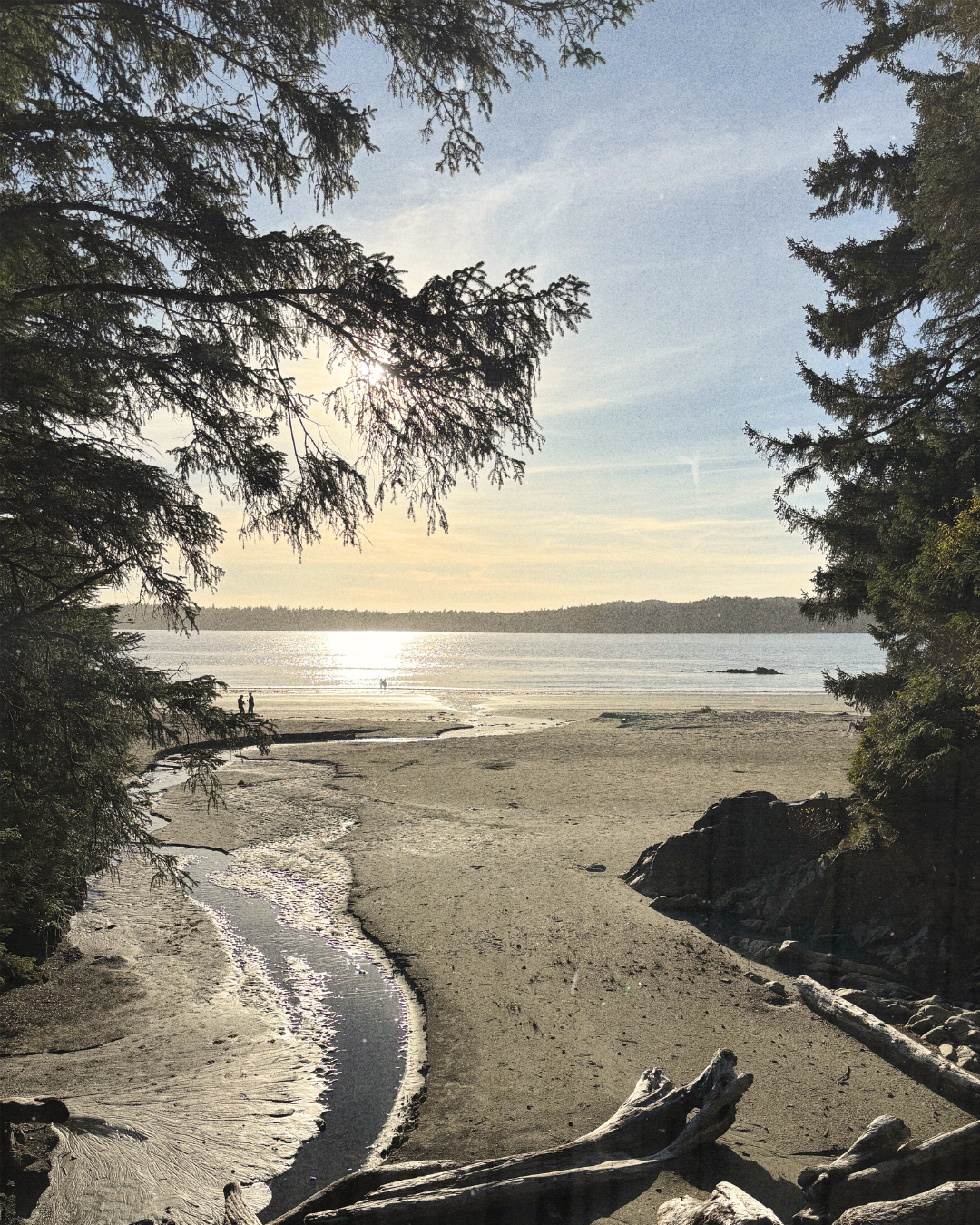 When Scent Finds You First: A Reflection on Functional Scent