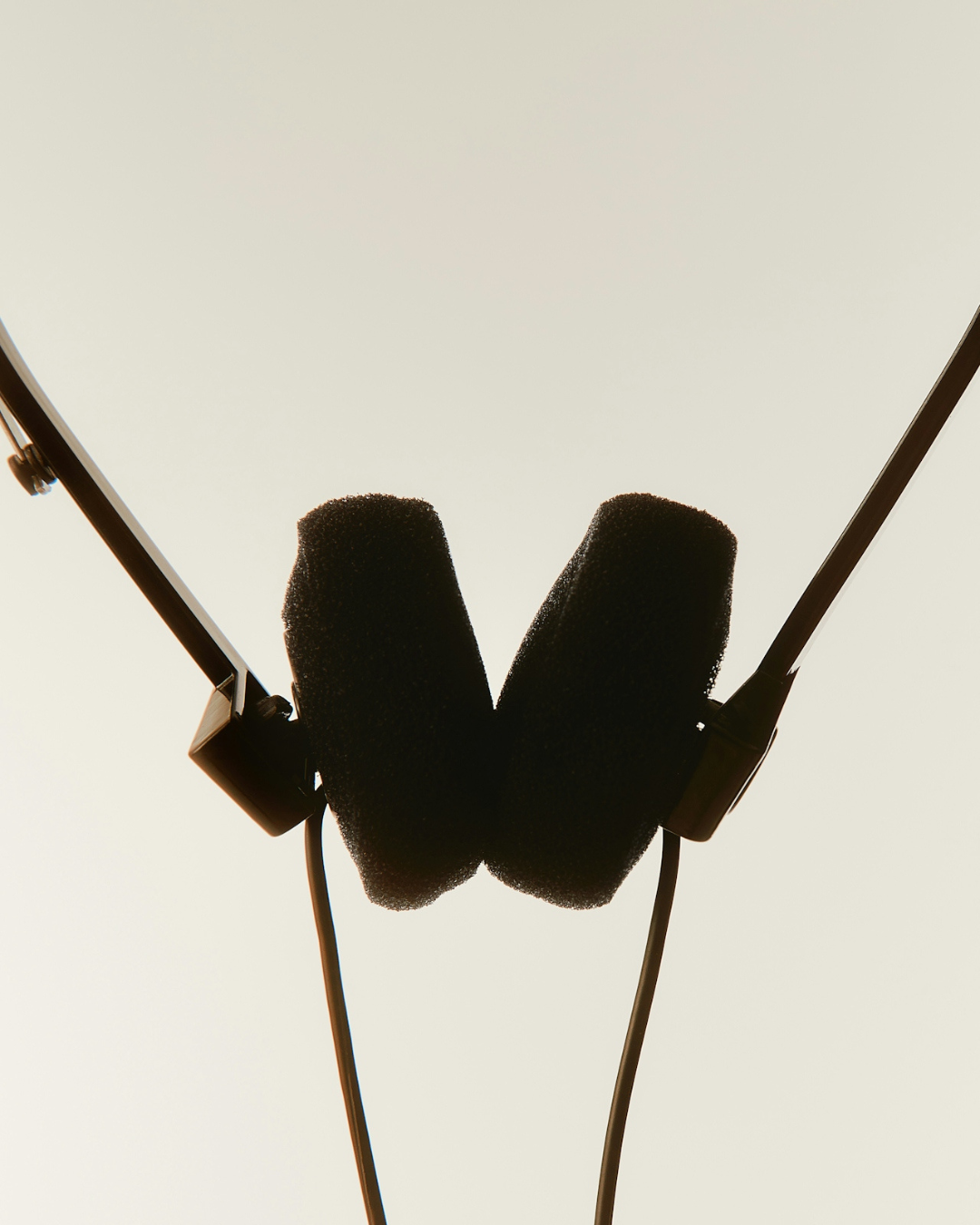 Fragrance and Music: Parallel Pathways to Presence