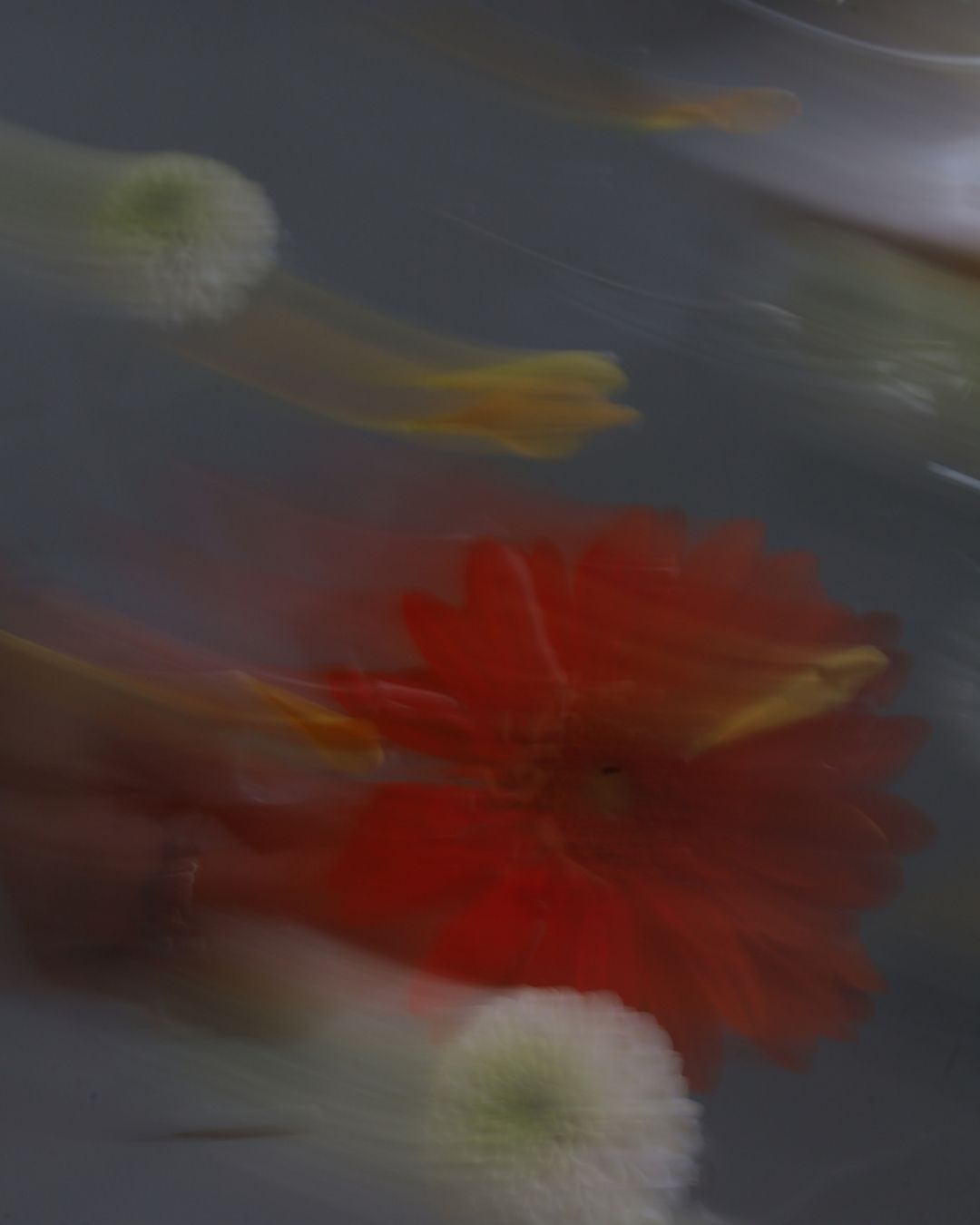 Why We Reset a Scent in pursuit of emotional clarity