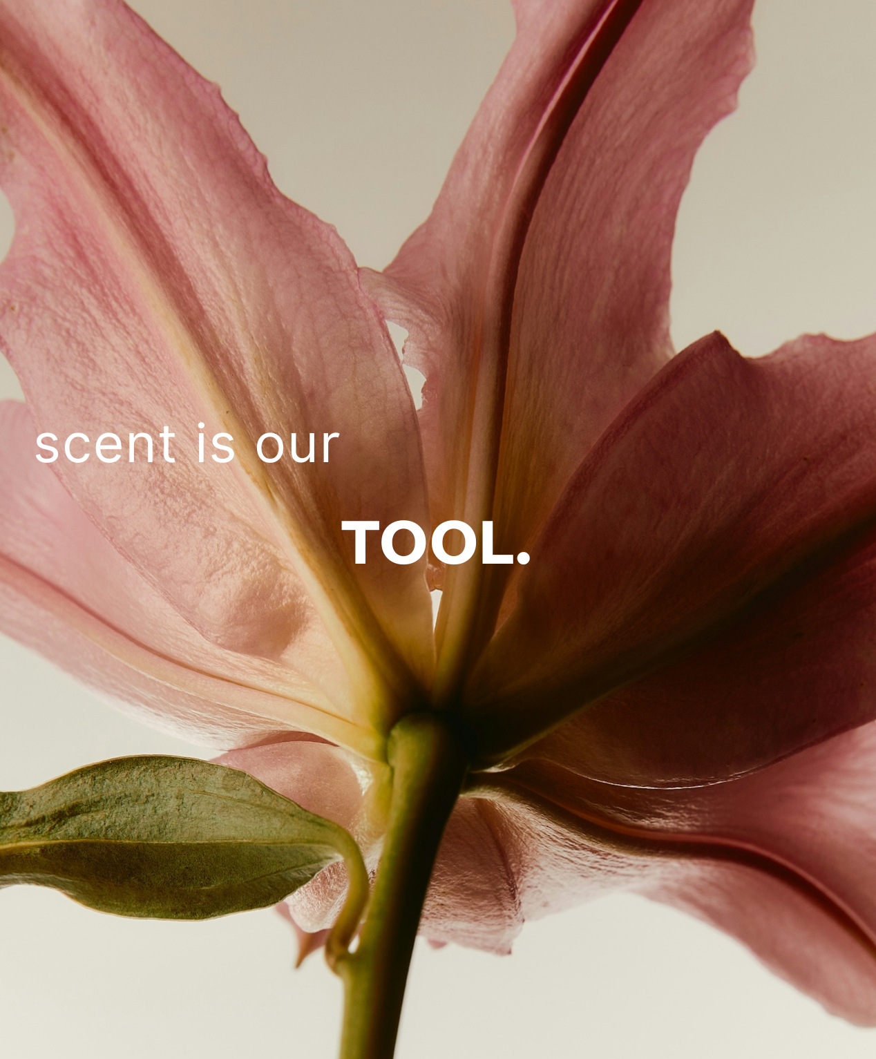 Scent That Shifts You
