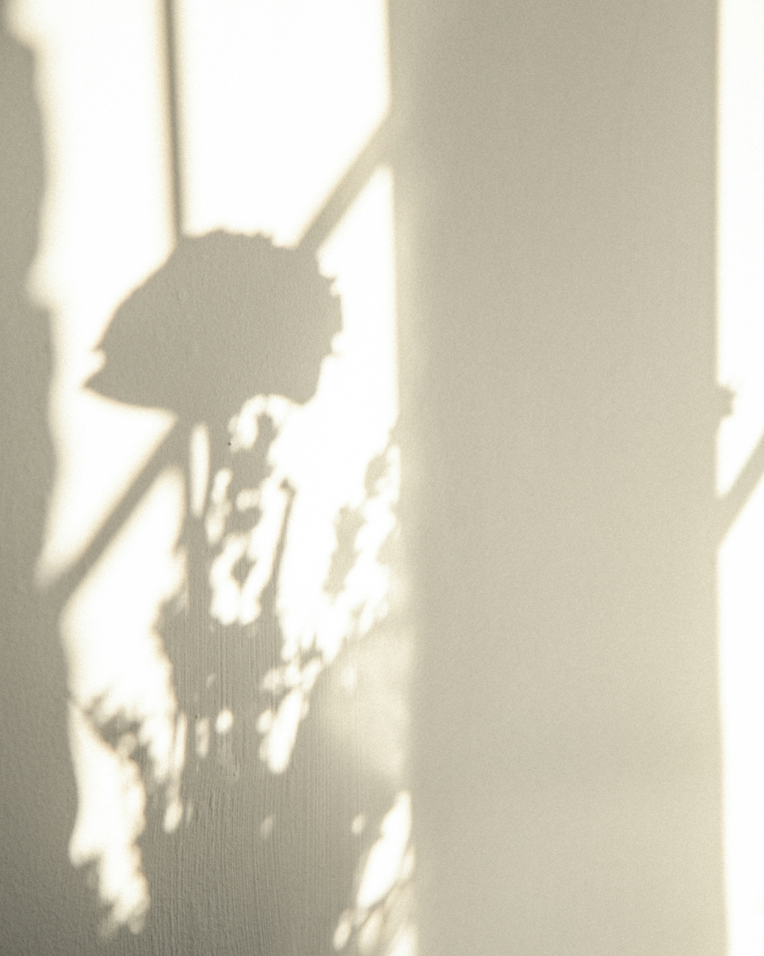 The Invisible Language of Scent: An Invitation to Presence